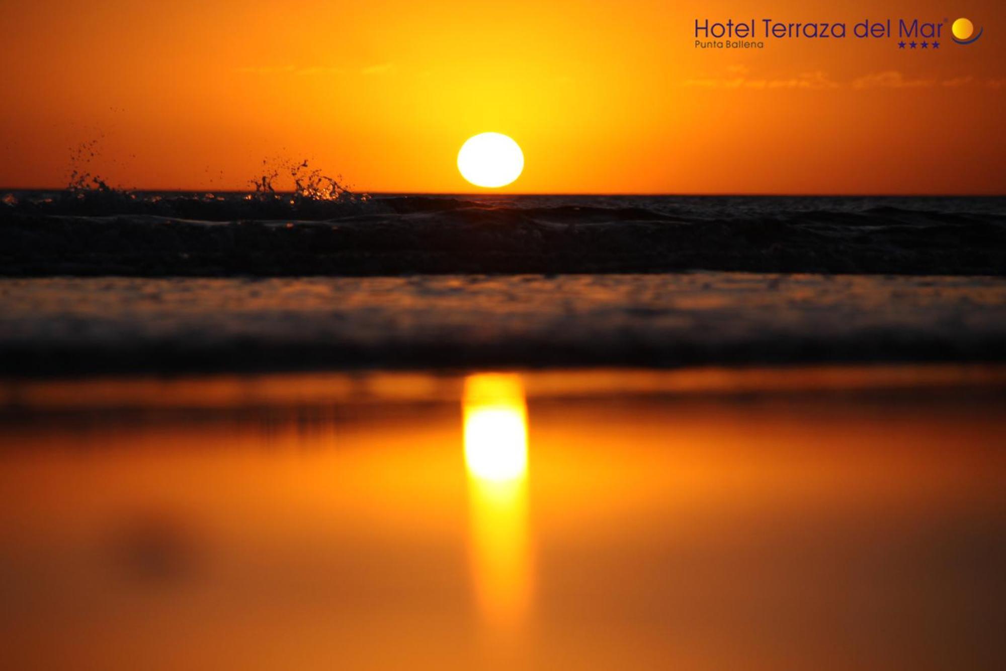 Hotel Terraza Del Mar Punta Ballena Εξωτερικό φωτογραφία